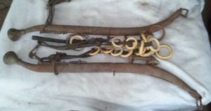 lot 811 image: Horse Hames