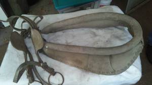 lot 813 image: Harness With Blinders And Collar
