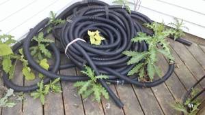 lot 815 image: Black Hose