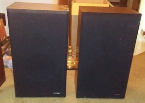 lot 48 image: Contrex Stereo Speaker (Pair)