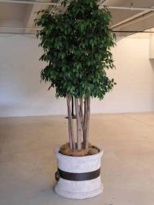 lot 573 image: Faux Potted Tree 26x9