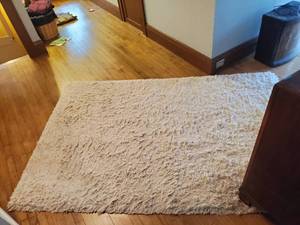 lot 209 image: Nourison Ivory Shag Rug
