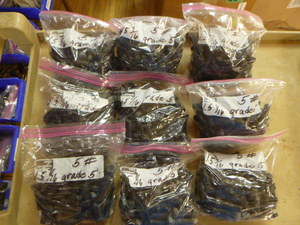 9 Bags of SAE Bolts