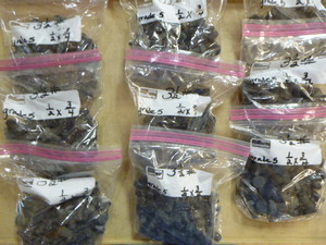 9 Bags of SAE Bolts