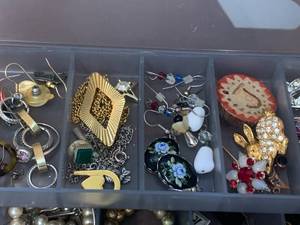 Plano Case w Jewelry Earrings,
