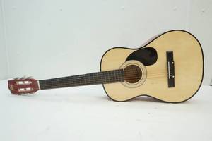 acoustic guitar