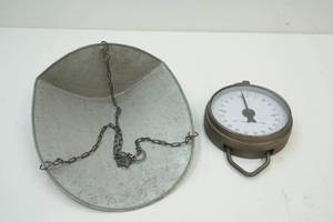 scale and tray