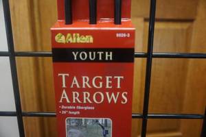 lot 35 image: Allen Model 9026 26 Youth Fiberglass Target Arrows