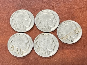 Buffalo Nickels