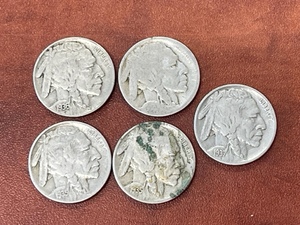 Buffalo Nickels