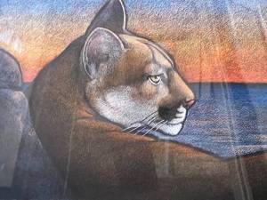 Mountain Lion  Original