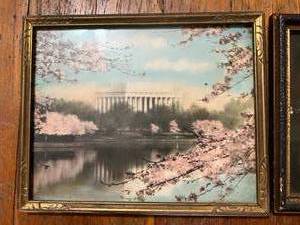 Vintage Washington DC Pictures