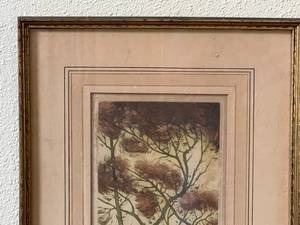Vintage Colored Etching