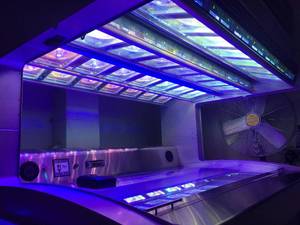 lot 1 image: Tanses Entropy 360 High Pressure Tanning Bed - No Reserve