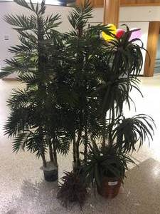 lot 114 image: Big Variety Lot of 5 Decorative Plastic Plants