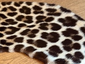 Vintage Somali Leopard Collar