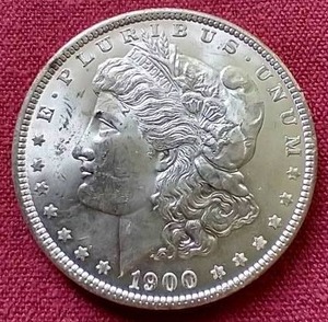 1900 Morgan Dollar