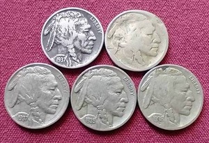 (5) Buffalo Nickels