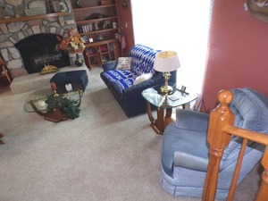 Living Room Lot