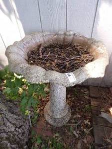 Concrete bird bath