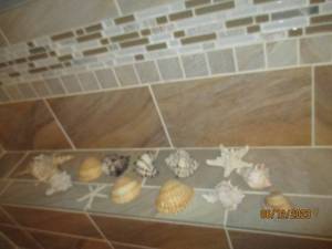lot 137 image: Collection of Sea Shells in a varie...