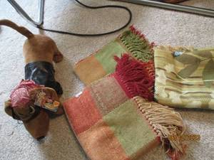 lot 156 image: Lowrider Animated Biker weiner dog ...