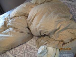 lot 161 image: FullQueen sized Down Comforter and...