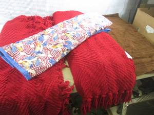 lot 161 image: (A-1T) Lot of 4 ThrowsBlankets 2 R...