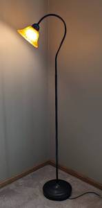 Dark Bronze Floor Lamp