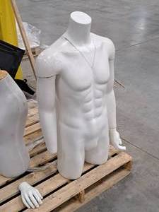 lot 157 image: Male Torso Mannequin