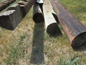 Telephone Poles