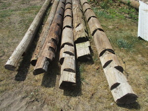 Telephone Poles