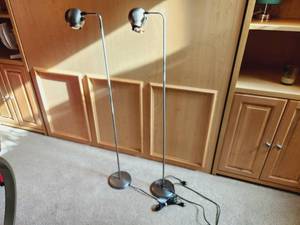2 Floor Lamps