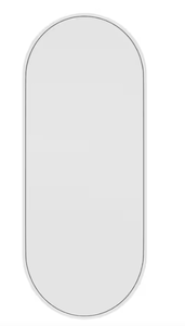 lot 123 image: 16 in. W x 40 in. H Stainless Steel Framed Pill Shape Bathroom Vanity Mirror in White