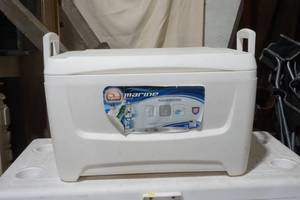 lot 9 image: Igloo cooler