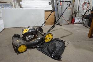 lot 17 image: Brutt lawn mower