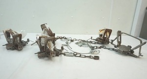 lot 184 image: wild life traps