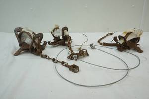 lot 185 image: wild life traps