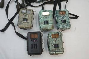 lot 255 image: game camera