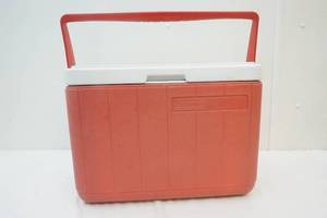 lot 265 image: cooler