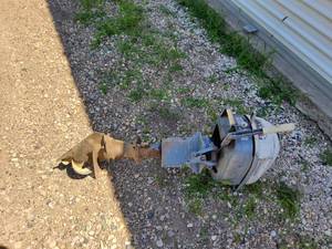 lot 126 image: Evinrude boat motor