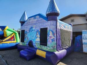 15 X 15 Disney Princess  Castle