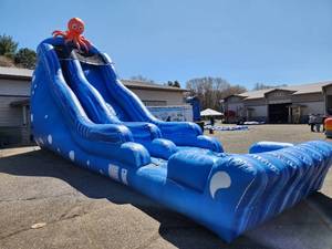 20 Ft Octopuss Waterslide with Pool