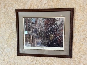 lot 70 image: Captured Moments  framed picture