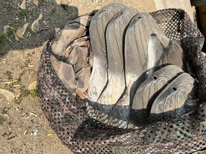 lot 49 image: 6  goose decoys and bag