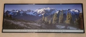 lot 75 image: Striking Naturalist Fine Art Print - Olympic National Park