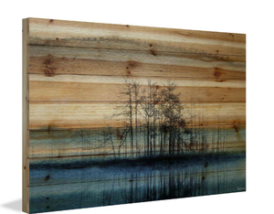 lot 48 image: 24 in. H x 36 in. W Tree Isle Reflects by Parvez Taj Printed Natural Pine Wood Wall Art Model # BAROM77228BDW36 UPC Code # 607128203292