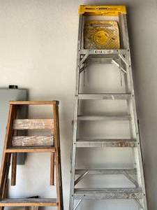 lot 8 image: 6 & 8 Foot Ladders