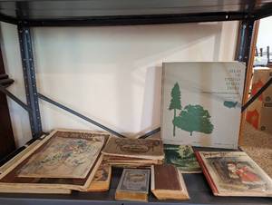 Collection Of Books