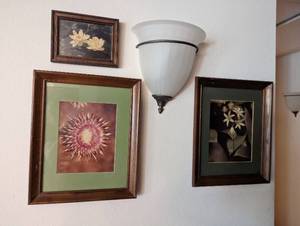 Framed Photography